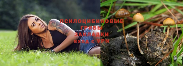 ПСИЛОЦИБИНОВЫЕ ГРИБЫ Бронницы